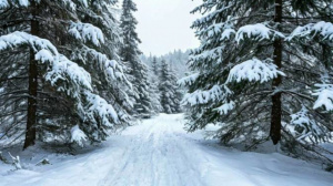 Праздничный график работы в новогодние праздники