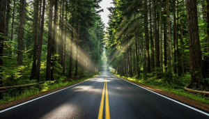 Спешите заказать!