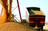 Перевозка зерна